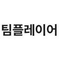 팀플레이어