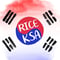 Rice Korean Student Association
