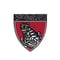 Harvard Griffin GSAS Korea Society Club (HGKS)
